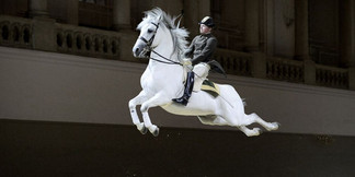 © Spanische Hofreitschule, ASAblanca.com, Rene van Bakel